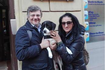 Roma, Schiuma: Mi hanno rubato il cane, i poliziotti lo hanno ritrovato Roma, Schiuma: Mi hanno rubato il cane, i poliziotti lo hanno ritrovato